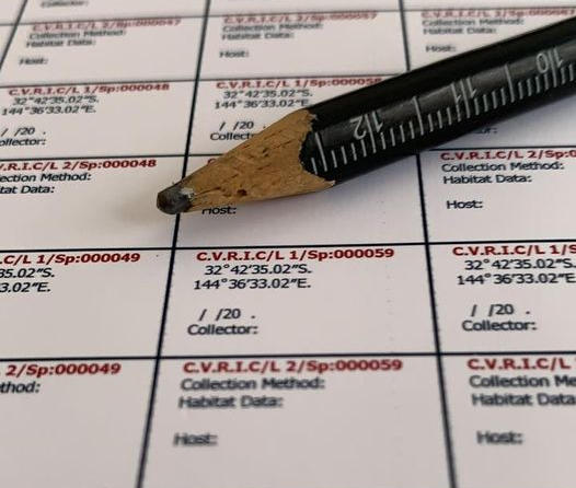 Labelling